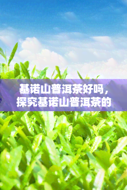 基诺山普洱茶好吗，探究基诺山普洱茶的品质：它真的好吗？