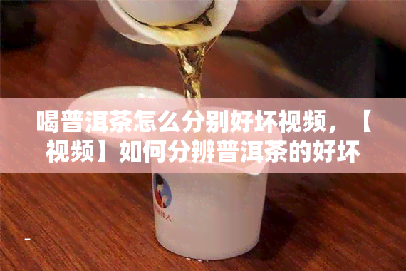 喝普洱茶怎么分别好坏视频，【视频】如何分辨普洱茶的好坏？看这一篇就够了！