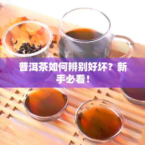 普洱茶如何辨别好坏？新手必看！