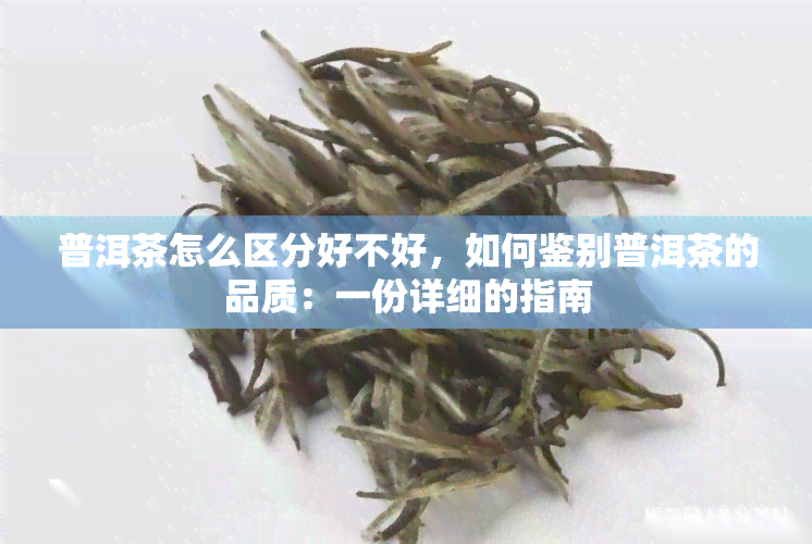 普洱茶怎么区分好不好，如何鉴别普洱茶的品质：一份详细的指南