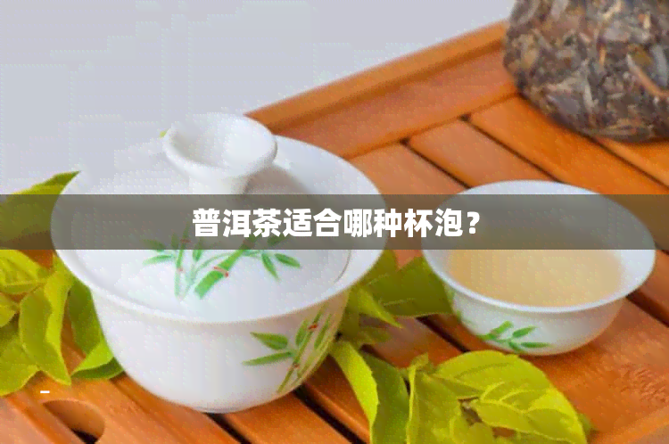 普洱茶适合哪种杯泡？