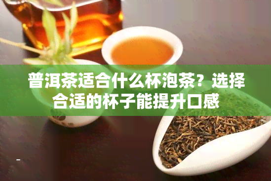 普洱茶适合什么杯泡茶？选择合适的杯子能提升口感