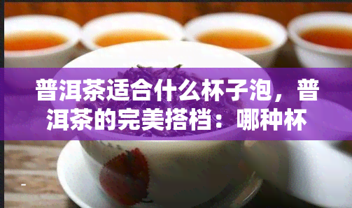 普洱茶适合什么杯子泡，普洱茶的完美搭档：哪种杯子最适合冲泡？