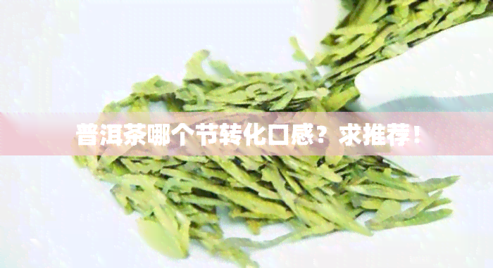 普洱茶哪个节转化口感？求推荐！