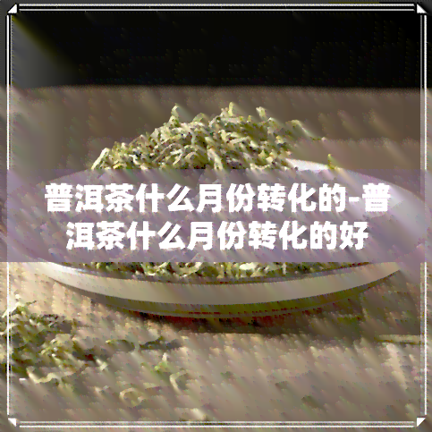 普洱茶什么月份转化的-普洱茶什么月份转化的好