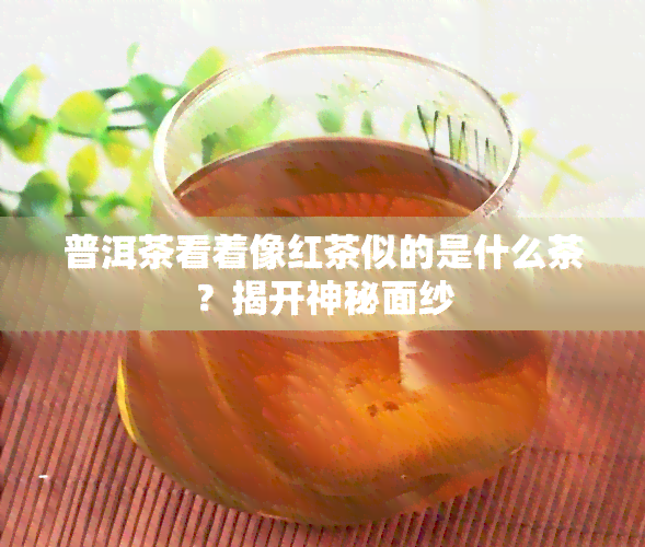 普洱茶看着像红茶似的是什么茶？揭开神秘面纱