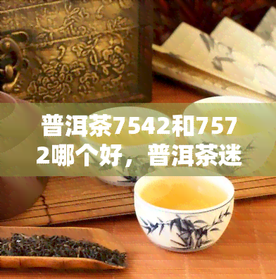 普洱茶7542和7572哪个好，普洱茶迷必看：7542与7572，哪个更具魅力？