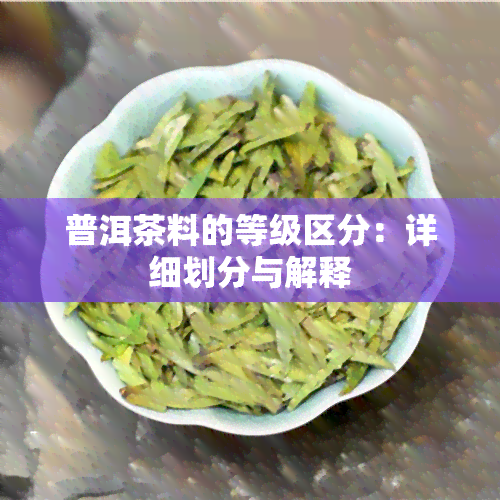 普洱茶料的等级区分：详细划分与解释