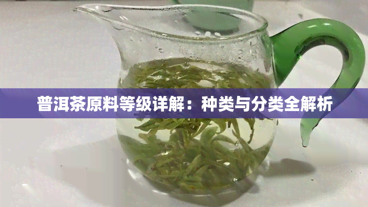 普洱茶原料等级详解：种类与分类全解析