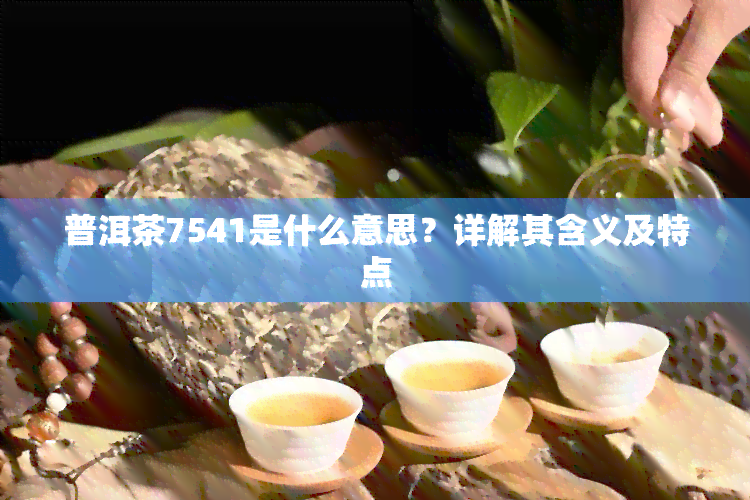 普洱茶7541是什么意思？详解其含义及特点