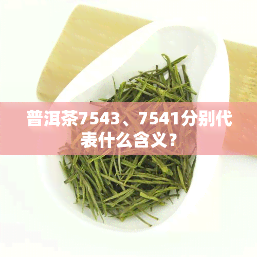 普洱茶7543、7541分别代表什么含义？