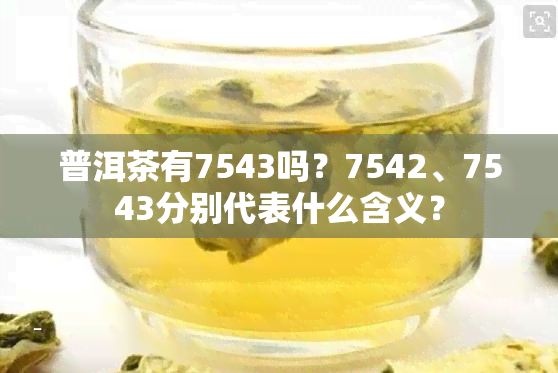 普洱茶有7543吗？7542、7543分别代表什么含义？