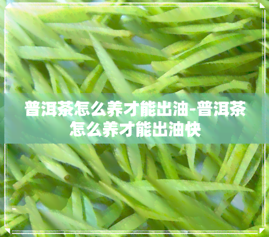 普洱茶怎么养才能出油-普洱茶怎么养才能出油快