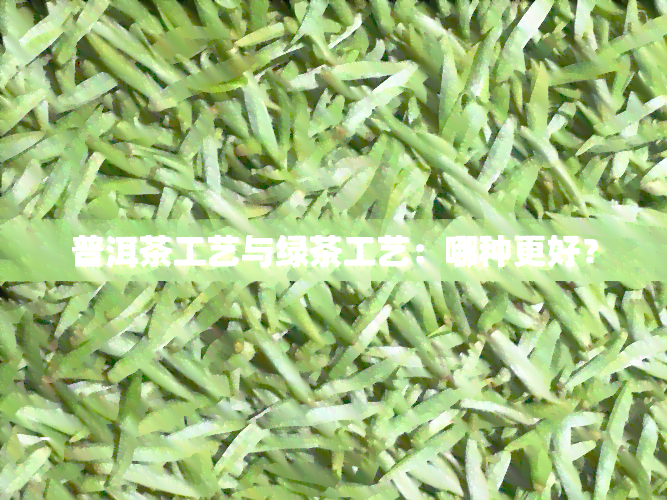 普洱茶工艺与绿茶工艺：哪种更好？