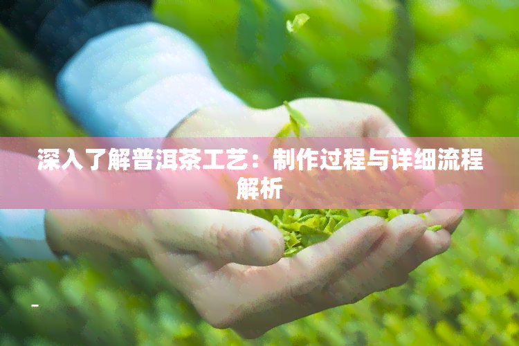 深入了解普洱茶工艺：制作过程与详细流程解析