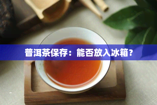 普洱茶保存：能否放入冰箱？