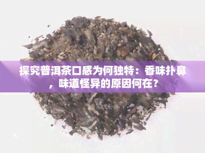 探究普洱茶口感为何独特：香味扑鼻，味道怪异的原因何在？