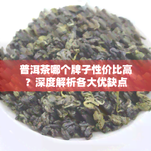 普洱茶哪个牌子性价比高？深度解析各大优缺点