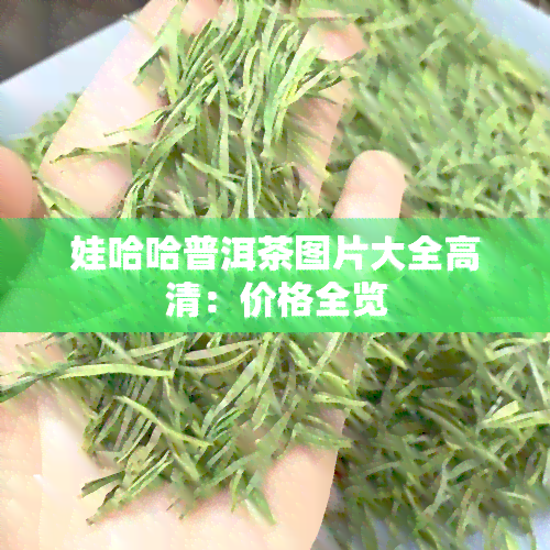 娃哈哈普洱茶图片大全高清：价格全览