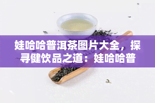 娃哈哈普洱茶图片大全，探寻健饮品之道：娃哈哈普洱茶图片大全