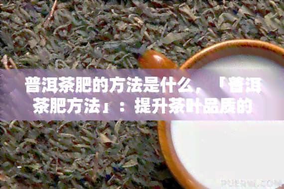 普洱茶肥的方法是什么，「普洱茶肥方法」：提升茶叶品质的秘诀！