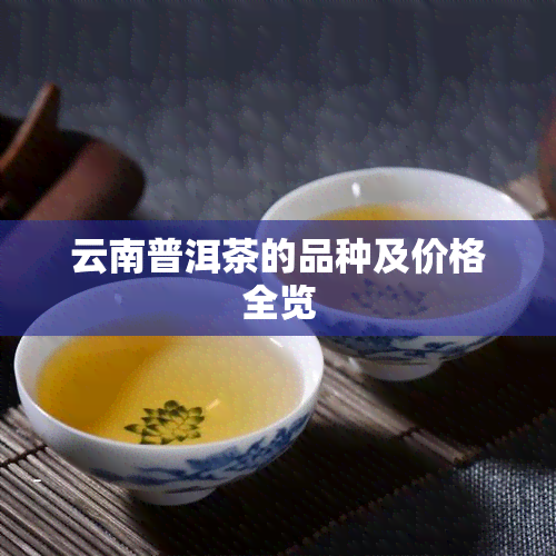 云南普洱茶的品种及价格全览