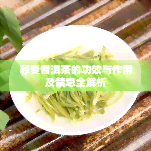 荞麦普洱茶的功效与作用及禁忌全解析