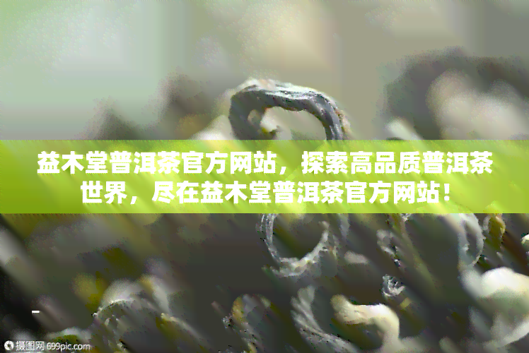 益木堂普洱茶官方网站，探索高品质普洱茶世界，尽在益木堂普洱茶官方网站！