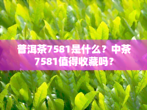 普洱茶7581是什么？中茶7581值得收藏吗？