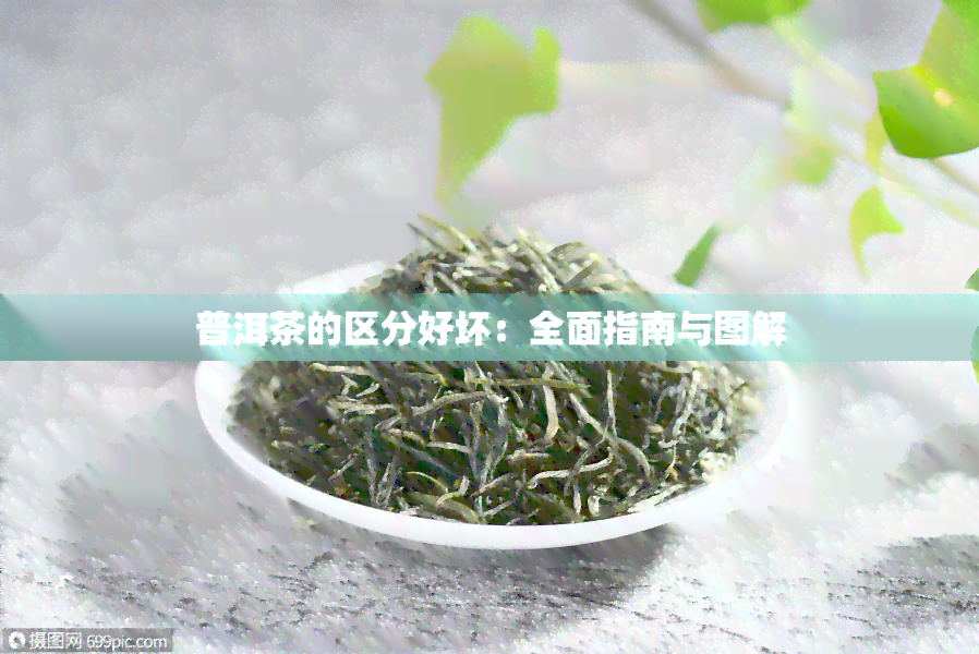 普洱茶的区分好坏：全面指南与图解