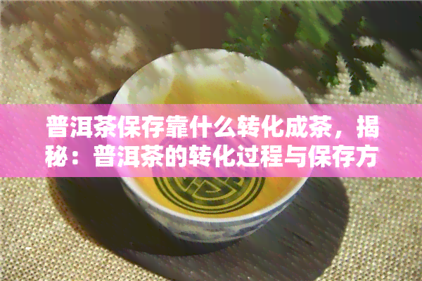 普洱茶保存靠什么转化成茶，揭秘：普洱茶的转化过程与保存方法