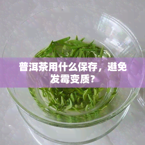 普洱茶用什么保存，避免发霉变质？