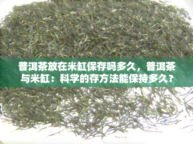 普洱茶放在米缸保存吗多久，普洱茶与米缸：科学的存方法能保持多久？