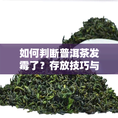 如何判断普洱茶发霉了？存放技巧与长期饮用风险