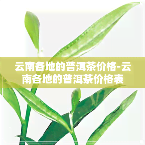 云南各地的普洱茶价格-云南各地的普洱茶价格表