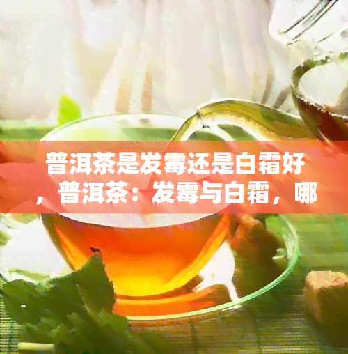 普洱茶是发霉还是白霜好，普洱茶：发霉与白霜，哪个更好？