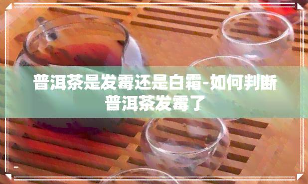 普洱茶是发霉还是白霜-如何判断普洱茶发霉了