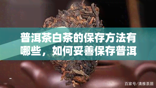 普洱茶白茶的保存方法有哪些，如何妥善保存普洱茶和白茶？关键步骤大揭秘！