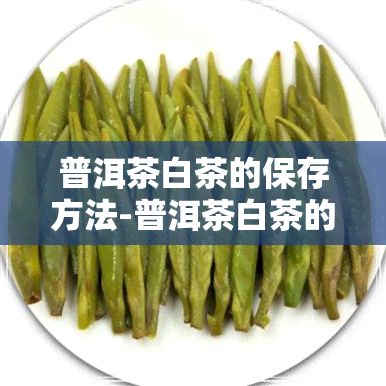 普洱茶白茶的保存方法-普洱茶白茶的保存方法和时间