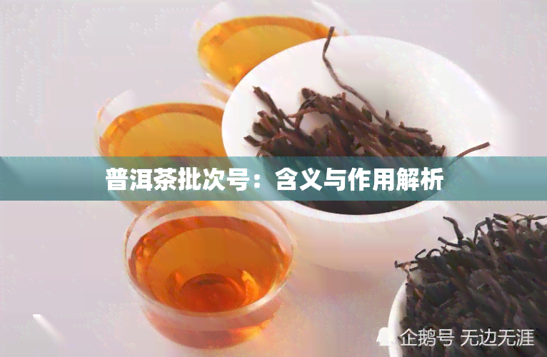 普洱茶批次号：含义与作用解析