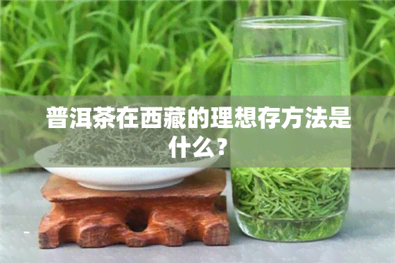 普洱茶在 *** 的理想存方法是什么？