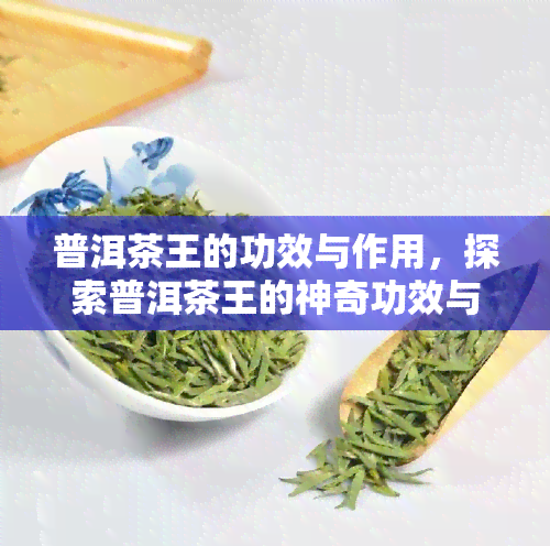 普洱茶王的功效与作用，探索普洱茶王的神奇功效与作用