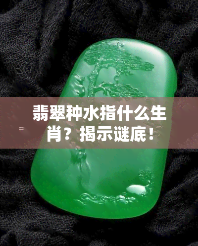 翡翠种水指什么生肖？揭示谜底！