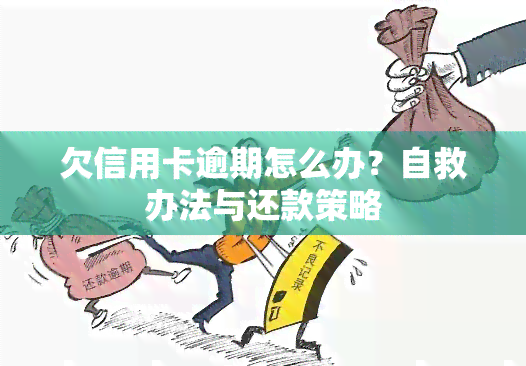 欠信用卡逾期怎么办？自救办法与还款策略