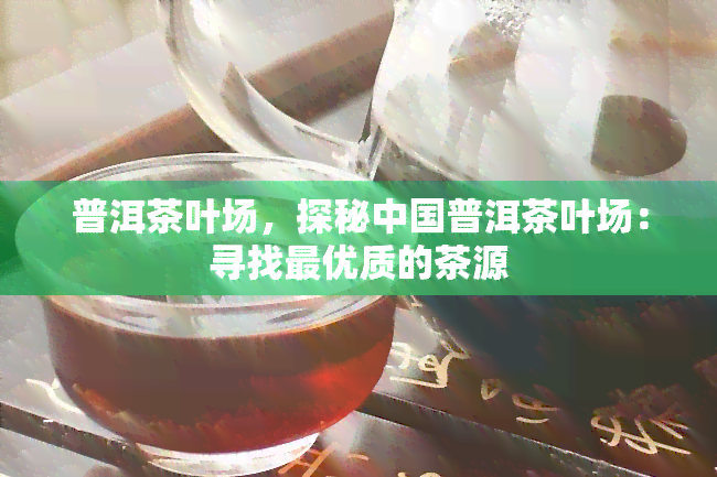 普洱茶叶场，探秘中国普洱茶叶场：寻找更优质的茶源