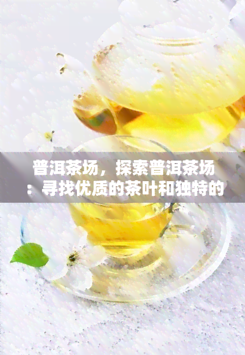 普洱茶场，探索普洱茶场：寻找优质的茶叶和独特的购物体验