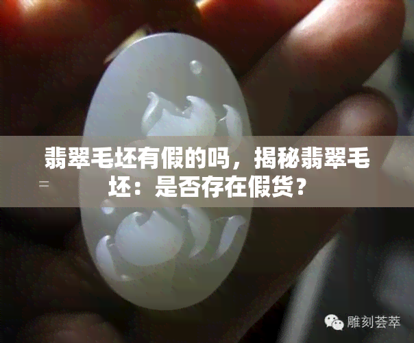 翡翠毛坯有假的吗，揭秘翡翠毛坯：是否存在假货？