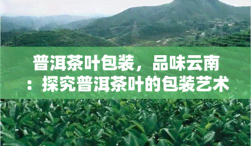 普洱茶叶包装，品味云南：探究普洱茶叶的包装艺术