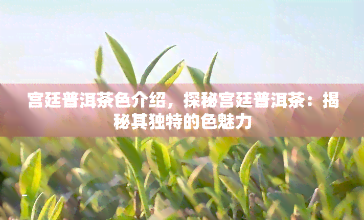 宫廷普洱茶色介绍，探秘宫廷普洱茶：揭秘其独特的色魅力