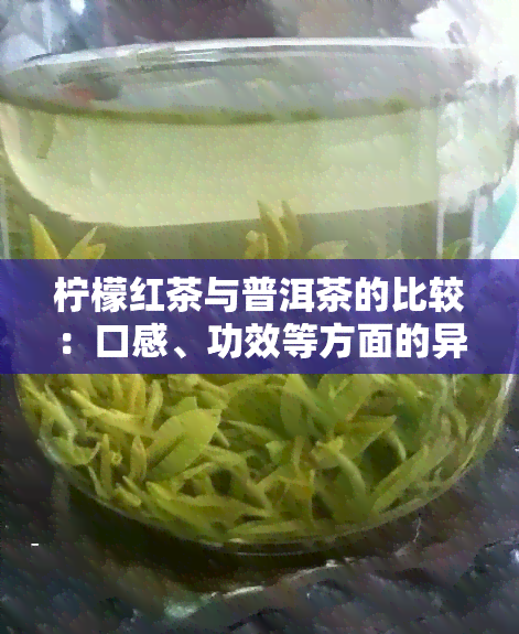 柠檬红茶与普洱茶的比较：口感、功效等方面的异同知乎